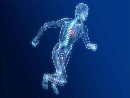 simsearch:400-04595056,k - 3d rendered illustration of a running skeleton with vascular system Photographie de stock - Aubaine LD & Abonnement, Code: 400-04166386