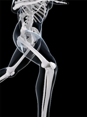 3d rendered illustration of a running skeleton Foto de stock - Super Valor sin royalties y Suscripción, Código: 400-04166392