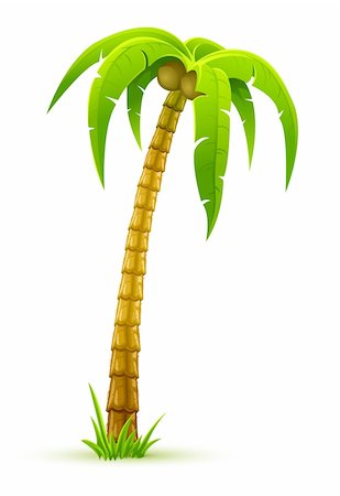 single coconut tree picture - palm tree - vector illustration, isolated on white background Stock Photo - Budget Royalty-Free & Subscription, Code: 400-04167312