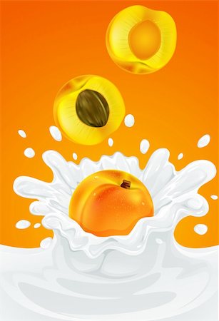orange apricot fruit falling into the milky splash - vector illustration Stock Photo - Budget Royalty-Free & Subscription, Code: 400-04167331