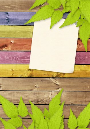 simsearch:400-04420614,k - Grunge background with paper sheet and green leaves Stock Photo - Budget Royalty-Free & Subscription, Code: 400-04169342