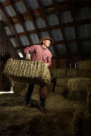 Man wearing a cowboy hat and carrying bales of hay in the barn. Vertical shot. Stock Photo - Budget Royalty-Free & Subscription, Code: 400-04169399