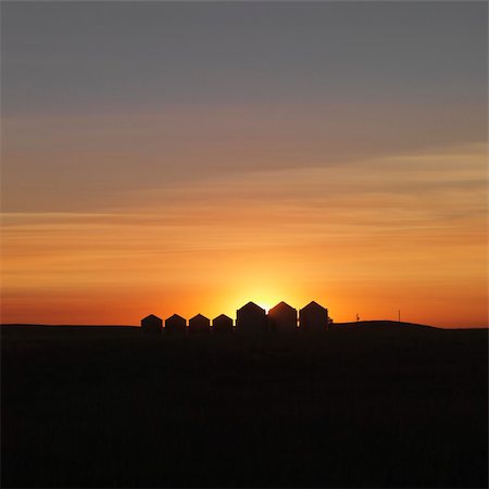 simsearch:700-03294964,k - Row of rural houses in the distance, silhouetted against the setting sun. Square shot. Stockbilder - Microstock & Abonnement, Bildnummer: 400-04169627