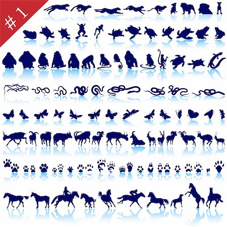 simsearch:400-07626711,k - Set of  different animals, birds, insects and fishes  vector silhouettes Stock Photo - Budget Royalty-Free & Subscription, Code: 400-04160748