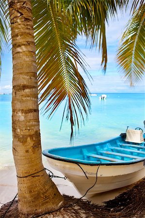 Coconut palm tree and a boat in Saona island, Dominican Republic Stock Photo - Budget Royalty-Free & Subscription, Code: 400-04160898