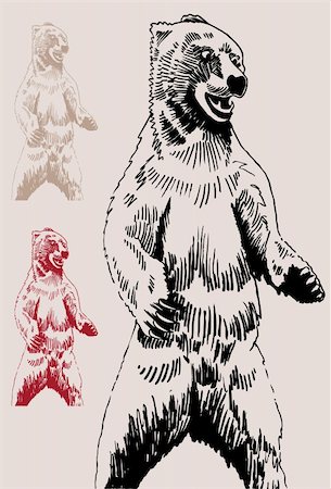 simsearch:400-04645691,k - Hand drawn sketch of a Bear. Stock Photo - Budget Royalty-Free & Subscription, Code: 400-04160950