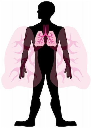 Lung man isolated on a white background. Stock Photo - Budget Royalty-Free & Subscription, Code: 400-04161064