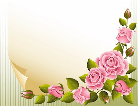 Vector illustration - pink roses and paper Stock Photo - Budget Royalty-Free & Subscription, Code: 400-04161205