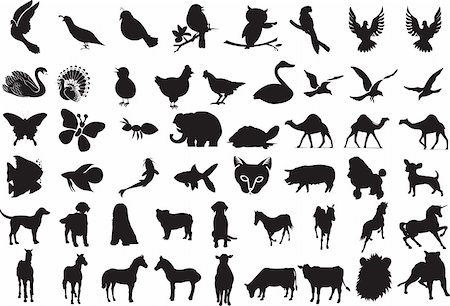 dove silhouette vector - 100 Icon Set 2 Stock Photo - Budget Royalty-Free & Subscription, Code: 400-04161333