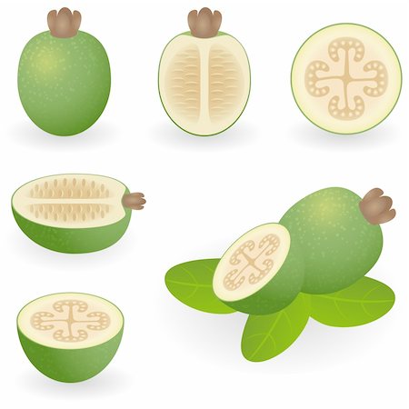 Vector illustration of feijoa Stock Photo - Budget Royalty-Free & Subscription, Code: 400-04161782