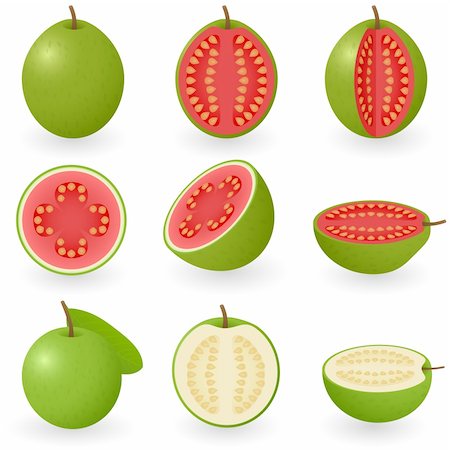 Vector illustration of guava Foto de stock - Royalty-Free Super Valor e Assinatura, Número: 400-04161800