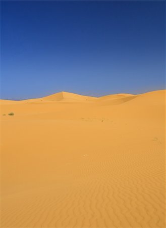 simsearch:400-05192544,k - sand dunes and cloudless dark blue sky Stock Photo - Budget Royalty-Free & Subscription, Code: 400-04162257