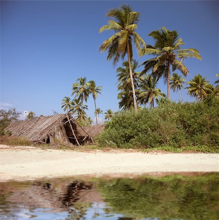 the shack on the beatiful palm beach photo Stock Photo - Budget Royalty-Free & Subscription, Code: 400-04162400