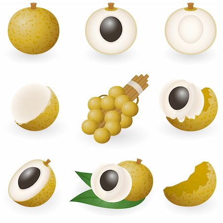 Vector illustration of longan fruit or dragon eye Stock Photo - Budget Royalty-Free & Subscription, Code: 400-04163126