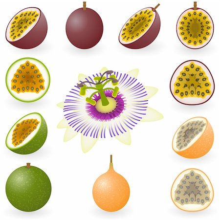 Vector illustration of maracuja, granadilla and flower Stock Photo - Budget Royalty-Free & Subscription, Code: 400-04163128