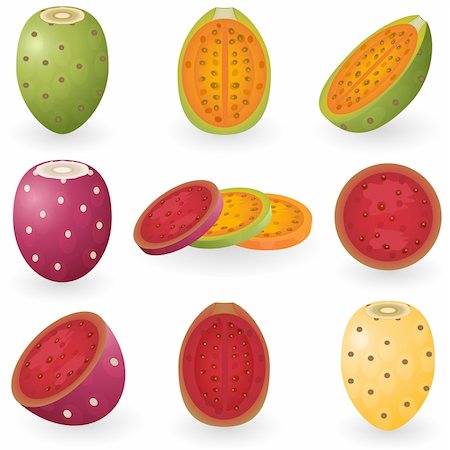 figuier de barbarie - Vector illustration of prickly pear fruit also known as opuntia, cactus fig or tuna. Photographie de stock - Aubaine LD & Abonnement, Code: 400-04163130
