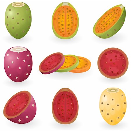 figue de barbarie - Vector illustration of prickly pear fruit also known as opuntia, cactus fig or tuna. Photographie de stock - Aubaine LD & Abonnement, Code: 400-04163130