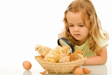 simsearch:400-07614085,k - Little girl studying her easter newborn chickens with a large lens - isolated with reflection Foto de stock - Super Valor sin royalties y Suscripción, Código: 400-04163161