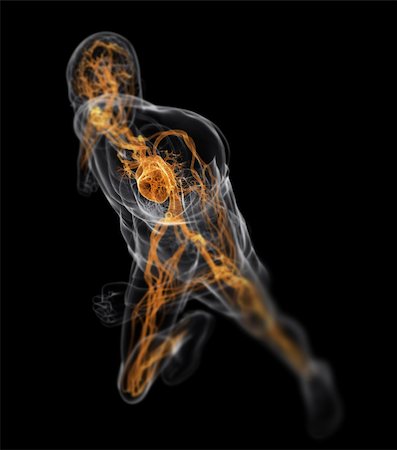 simsearch:400-04103615,k - 3d rendered x-ray illustration of a running man with vascular system Stock Photo - Budget Royalty-Free & Subscription, Code: 400-04163306