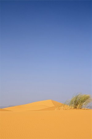 simsearch:400-04612187,k - on the top of sand dune Foto de stock - Super Valor sin royalties y Suscripción, Código: 400-04163378