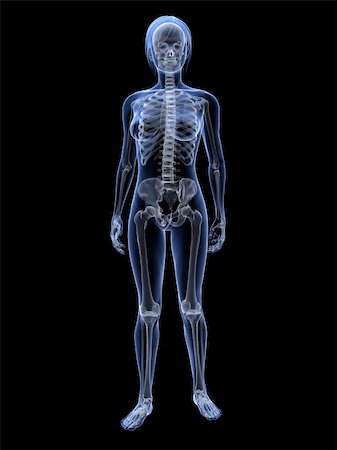 simsearch:400-04163427,k - 3d rendered illustration of transparent female body with skeleton Stockbilder - Microstock & Abonnement, Bildnummer: 400-04163404