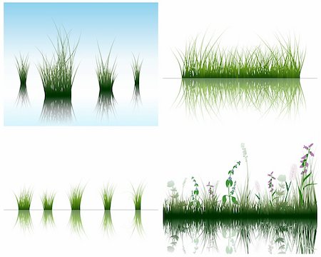 simsearch:400-04804407,k - Vector grass silhouettes backgrounds set with reflection in water. All objects are separated. Stock Photo - Budget Royalty-Free & Subscription, Code: 400-04163582