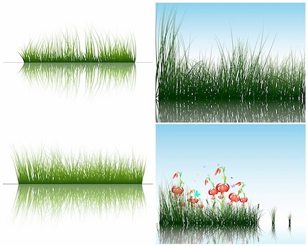 simsearch:400-04804407,k - Vector grass silhouettes backgrounds set with reflection in water. All objects are separated. Stock Photo - Budget Royalty-Free & Subscription, Code: 400-04163839