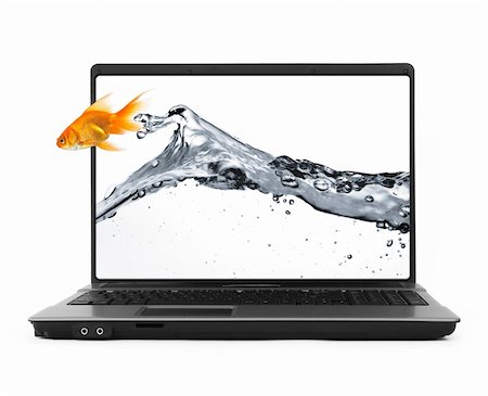 simsearch:6113-06626095,k - goldfish jumping out of the notebook, isolated on white Stock Photo - Budget Royalty-Free & Subscription, Code: 400-04163845