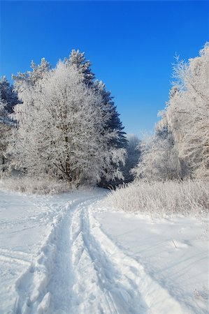 simsearch:400-05063238,k - winter landscape, path in the snow leading to a forest Stock Photo - Budget Royalty-Free & Subscription, Code: 400-04163850
