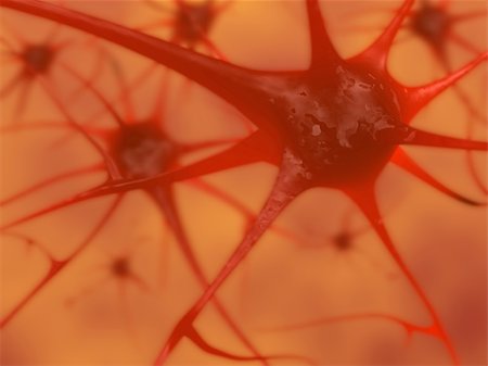 simsearch:400-05369423,k - 3D illustration of neurons in the brain Stockbilder - Microstock & Abonnement, Bildnummer: 400-04176633