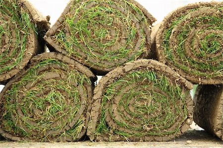 simsearch:400-08334430,k - Stack od rolled grass sod for lawns and gardening Fotografie stock - Microstock e Abbonamento, Codice: 400-04176660