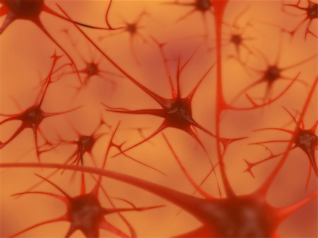 3D illustration of neurons in the brain with depth of field Stock Photo - Budget Royalty-Free & Subscription, Code: 400-04176723