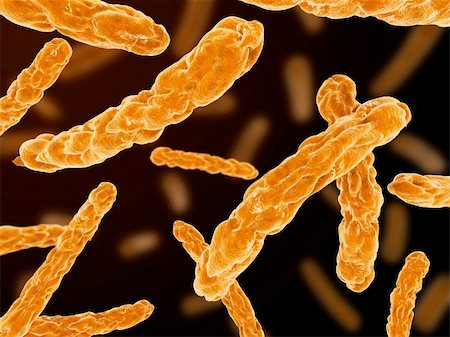 simsearch:400-04680612,k - 3d rendered close up of isolated bacteria Fotografie stock - Microstock e Abbonamento, Codice: 400-04176868