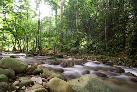 simsearch:400-06426120,k - natural green waterfall Photographie de stock - Aubaine LD & Abonnement, Code: 400-04177282