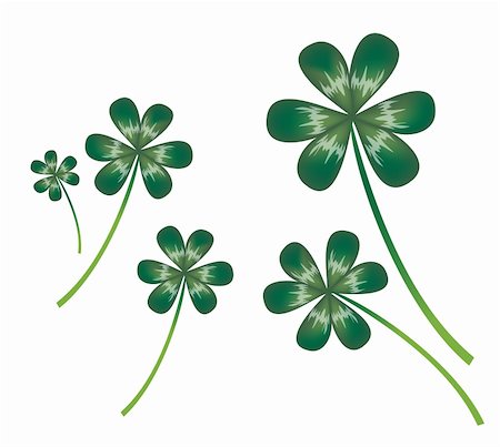 simsearch:400-04739592,k - green clover leaf on the white background Foto de stock - Royalty-Free Super Valor e Assinatura, Número: 400-04177666