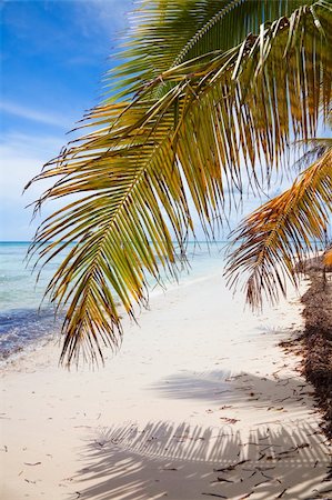 View over a beautiful caribbean beach in Sahona Island, Dominican Republic. Photographie de stock - Aubaine LD & Abonnement, Code: 400-04177867