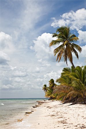 simsearch:400-03968268,k - View over a beautiful caribbean beach in Sahona Island, Dominican Republic. Foto de stock - Super Valor sin royalties y Suscripción, Código: 400-04177869