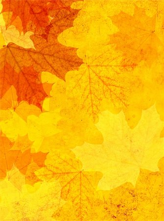 simsearch:400-04652609,k - Grunge background with autumn leaves Photographie de stock - Aubaine LD & Abonnement, Code: 400-04177925