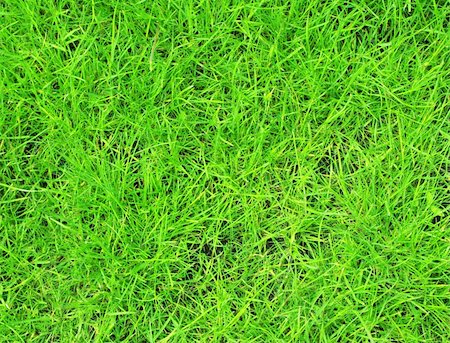 simsearch:400-05731622,k - Texture - bright spring green grass Stock Photo - Budget Royalty-Free & Subscription, Code: 400-04177950