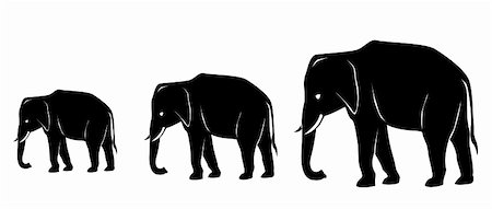 endangered animal skins - drawing of elephant in a white background Stock Photo - Budget Royalty-Free & Subscription, Code: 400-04177995