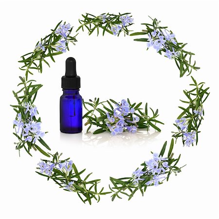 simsearch:400-04545260,k - Rosemary herb flowers forming a circular garland with aromatherapy essential oil blue glass dropper bottle in the centre with flower and leaf sprig, isolated over white background. Stock Photo - Budget Royalty-Free & Subscription, Code: 400-04178495