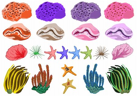 Assorted and colorful ocean coral illustration in vector Stock Photo - Budget Royalty-Free & Subscription, Code: 400-04179013