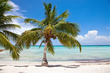 simsearch:400-07093200,k - View over a beautiful caribbean beach in Sahona Island, Dominican Republic. Fotografie stock - Microstock e Abbonamento, Codice: 400-04179480