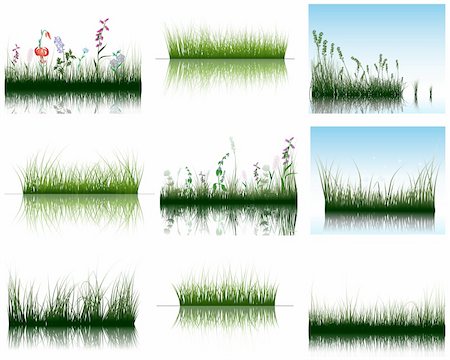 simsearch:400-04804407,k - Vector grass silhouettes backgrounds set with reflection in water. All objects are separated. Stock Photo - Budget Royalty-Free & Subscription, Code: 400-04172222