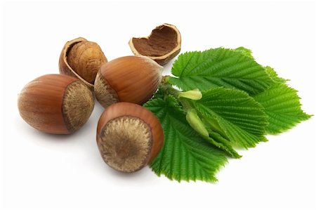 Hazelnuts with leaves Stock Photo - Budget Royalty-Free & Subscription, Code: 400-04173904