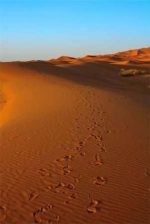 simsearch:400-06100677,k - sunset over Sahara desert (Morocco), focus set in foreground Photographie de stock - Aubaine LD & Abonnement, Code: 400-04173968