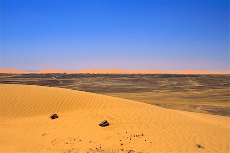 view a from small sand dune towards the edge of Sahara desert, photo taken near Merzouga, Morocco Photographie de stock - Aubaine LD & Abonnement, Code: 400-04173980