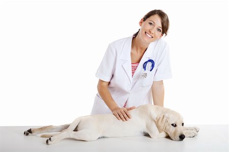 simsearch:400-08372788,k - Young female veterinary taking care of a beautiful labrador dog Stock Photo - Budget Royalty-Free & Subscription, Code: 400-04173990