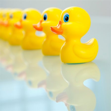 Concept of organization with ducks in a row. Foto de stock - Super Valor sin royalties y Suscripción, Código: 400-04186452