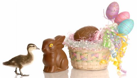 easter basket filled with eggs and chocolate bunny with baby duck Stock Photo - Budget Royalty-Free & Subscription, Code: 400-04187166